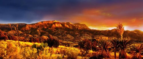 Archisio - Showroom di Designconcept Office Furniture - designconceptInformation design solutions