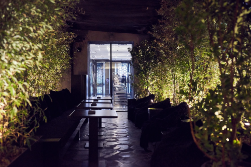 Archisio - Lavoro di Sos Piante - Giardini e terrazzi - cura del verde - allestimenti