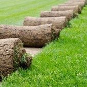 Archisio - Lavoro di Asti Garden - Asti garden una solida realt che opera da pi di ventanni nel settore del verde privato e pubblico rivolgendosi a specialisti ed amatori evolutiLazienda ha continuato il proprio svilupp