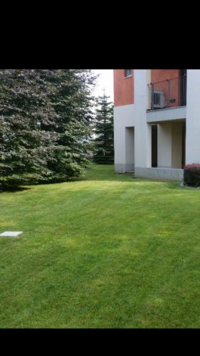 Archisio - Lavoro di I Giardini Dei Tudor - Giardinaggio monza brianza - i giardini dei tudor I giardini deitudor specializzata nella realizzazione e manutenzione di aree verdi pubbliche e private come giardini parchi e giardini condom