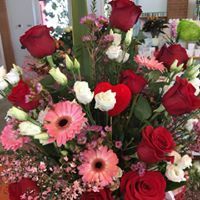 Archisio - Lavoro di Vivai Flli Zanella Srl Antica Sede - Rivenditore di piante arboree forestali ornamentali e da fruttoQualit vegetali ad uso interno ed esterno con scelta in prodotti di floricoltura e orticole di stagione Forniture di materiale