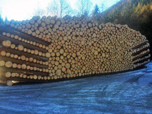 Archisio - Lavoro di De Donati Angelo C Snc - Il bosco dal 1800 una grande tradizione di famigliaSiamo presenti nel settore del legno da costruzione sin dal 1800 quando nella vicina val lesina la famiglia de donati intraprende lattivit di t