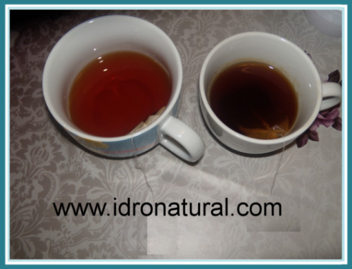 Archisio - Lavoro di Hydronatural - Da anni idronatural un punto di riferimento serio e qualificato Cerchiamo di soddisfare al meglio le esigenze dei nostri clienti offrendo loro un servizio completo e la massima professionalit