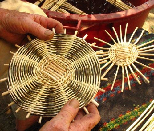 Archisio - Lavoro di Giovanni Salerno - Laureato in scienze naturali e specializzato in botanica mi occupo di consulenza e ricerca sulla flora e letnobotanica dello studio di specie di interesse biogeografico e conservazionistico di ana