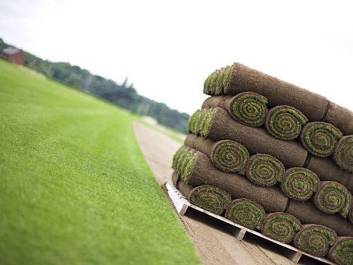 Archisio - Lavoro di Ambiente Lavori - Nasce a roma dallunione di tecnici con esperienza e preparazione nel settore del verde del vivaismo e nelle opere di ingegneria naturalistica Conta molti clienti pubblici e privati tra i quali g
