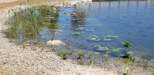 Archisio - Progetto di Arqtropa Studio - Arqtropa studio della architettura e del paesaggio nasce in argentina nel 2014Nel 2016 si trasferisce in italia per formare un piccolo laboratorio progettualeChe attualmente dedica il suo