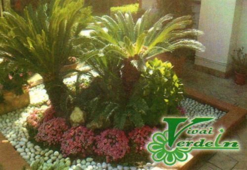Archisio - Progetto di Verdein Ss - Azienda specializzata nella progettazione realizzazione e manutenzione giardini dal 1994 Il sig Senatore vincenzo progetta da circa trentanni giardini personalizzandoli secondo le esigenze dell