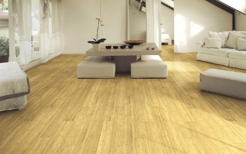 Archisio - Showroom di Eco Parquet - Rivenditore