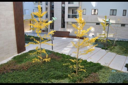 Archisio - Progetto di Artenatura Vivai Saas - Artenatura garden center ad altamura e in tutta la provincia di bari lazienda florovivaistica di riferimento nel commercio di prodotti vivaistici ornamentali e nei servizi di allestimento giardi