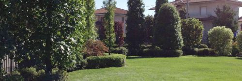 Archisio - Progetto di Robi Bonaita Alessio Bonaita Fabiano Bonaita - Azienda vivaisticaCome azienda vivaistica abbiamo vivai che si sviluppano su una superficie di oltre 35000 m allinterno di questa grande area sono dislocate le nostre strutture produttive ed es