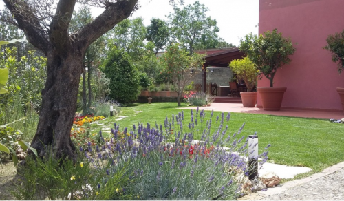 Archisio - Progetto di Segno Studio Design - Costruzione piscina giardino pensile progettazione giardini progettazione piscine progettazione verde progettazione e realizzazione gazebi rendering 3d