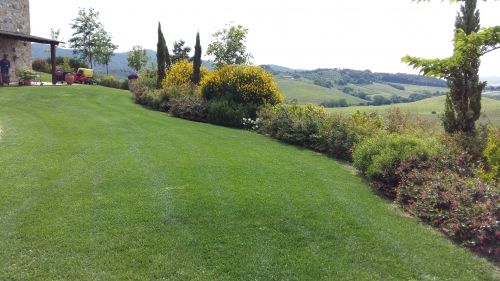 Archisio - Lavoro di Lidea Verde Snc Di Bandini Fabio C - La ditta l idea verde nasce nel 1999 e si occupa di realizzazioni e manutenzioni aree verdi e giardiniFornisce e installa impianti dirrigazione per prati e piante