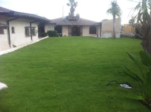 Archisio - Lavoro di Service Garden - Service garden la soluzione giusta per le tue esigenze di giardinaggio La ditta fondata oltre 11 anni fa e in grado di contare su un bagaglio di esperienza decennale effettua con celerit e pre