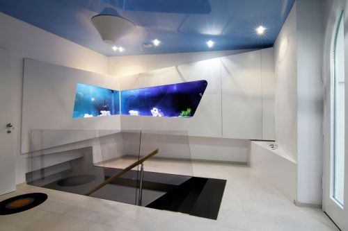 Archisio - Progetto di Americo Di Cioccio - Sito non funzionante