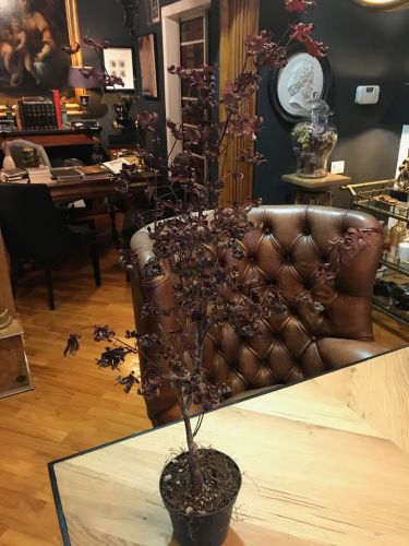 Archisio - Showroom di Ars - Portiamo avanti unidea di stile e design fuori dal tempo ma ben consapevole dello spazio in cui nasce Attraverso la progettazione dinterni che studia dal posizionamento di elementi di design a