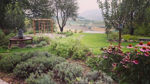 Archisio - Progetto di Silvia Del Piano - Lo studio si occupa di progettazione e realizzazione giardini privati e pubblici terrazzi e balconi recupero e riqualificazione di ogni tipologia di spazio esterno cercando di rispettare le esigenz