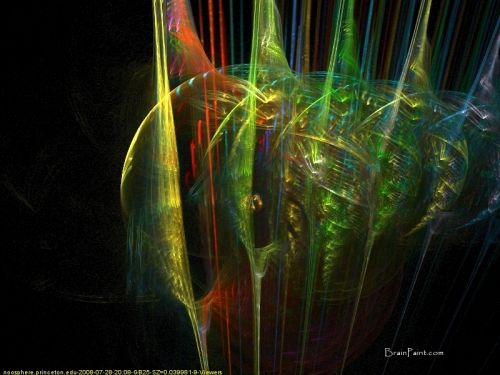 Archisio - Showroom di Pictorixchel - Pittura grafica murales