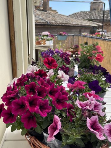 Archisio - Progetto di Pasquale Belluoccio - Progettista dinterni e giardini paesaggistaResidenziale - abitativo ufficio studio professionale laboratorio negozio bar - bistrot ristorante wellness - spa giardino e paesaggio zen