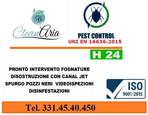 Archisio - Lavoro di Arturo Della Corte - Servizi di pulizia sanificazione derattizzazione deblattizzazione spurgo videoisoezioni