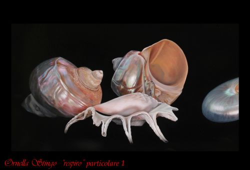 Archisio - Showroom di Ornella Stingo - Dipinti a mano originali di vari generi e dimensioni - anche su commissione ritratti e falsi dautore