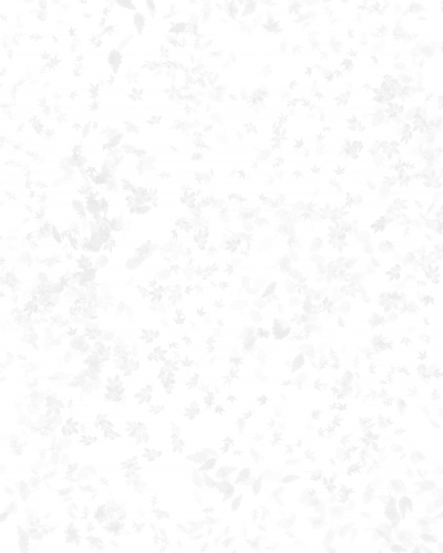 Archisio - Progetto di Caar Cattaneo Architects - Siamo uno studio professionale indipendente e multidisciplinare strutturato in aree di specializzazione concernenti la progettazione architettonica curvilinea e lingegneria strutturale La nostra a