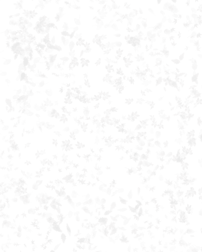 Archisio - Progetto di Caar Cattaneo Architects - Siamo uno studio professionale indipendente e multidisciplinare strutturato in aree di specializzazione concernenti la progettazione architettonica curvilinea e lingegneria strutturale La nostra a