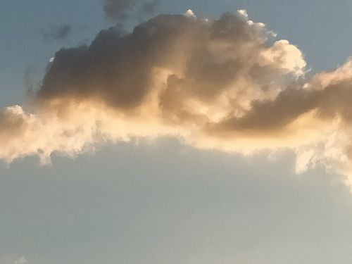 Archisio - Lavoro di Giovanna Somai - Tutte le fantasie pittoriche possono essere realizzate sulle pareti soffitti mobili e accessori della vostra casa Giovanna somai si diploma presso listituto statale d arte di rieti in