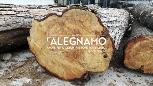 Archisio - Lavoro di Falegnamo - Lavoriamo il legno applichiamo il nostro talento a una materia prima che ci stata donata con generosit e che ricorda le nostre origini Il legno una sostanza viva bisogna conoscerla capirla