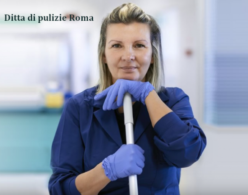 Archisio - Lavoro di Ditta Pulizie Roma - La ditta di pulizie roma da anni impegnata nel settore delle pulizie professionali della capitale Con unampia gamma di servizi su misura tra cui pulizie per uffici pulizie industriali pulizie