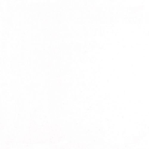 Archisio - Progetto di Carinci Mario - Ingegnere civile specializzato in consulenze tecnico legali