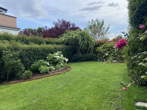 Archisio - Progetto di Studio Tecnico Paesaggistico - Lattivit di consulenza progettazione direzione lavori e realizzazione delle opere verdi ha inizio nel 1995 Da allora il dott Agronomo alberto pedrazzoli ha sempre operato avvalendosi di profes