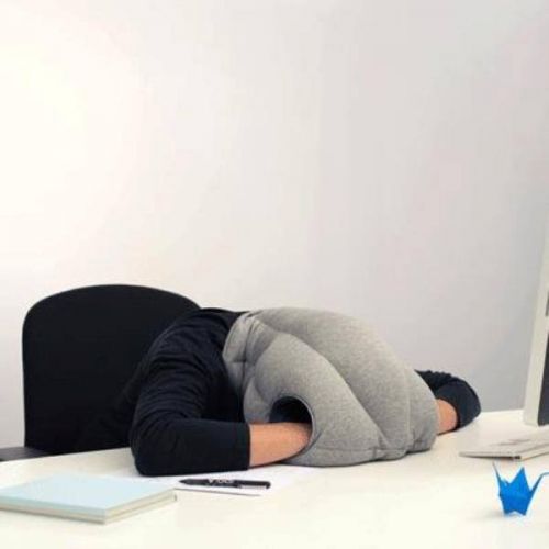 Archisio - Progettista Ingrid Fontanili - Architetto - Reggio Emilia RE