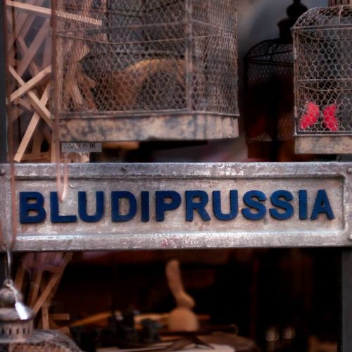 Archisio - Impresa Blu Di Prussia - Falegnameria - Trieste TS