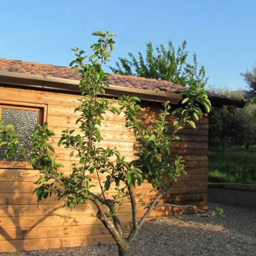 Archisio - Impresa Ambientline - Manutenzione Verde - Melfi PZ