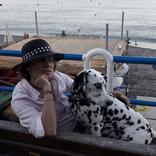 Archisio - Impresa Restauro Ligneo Di Arredi E Opere Darte - Restauratore di Mobili - Stella SV