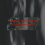 Archisio - Rivenditore Tonelli Dal 1969 Snc - Camini e Stufe - Savignano sul Panaro MO