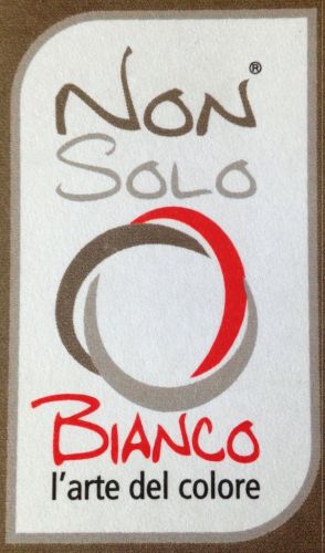 Archisio - Impresa Non Solo Bianco - Costruzioni Civili - Lecco LC