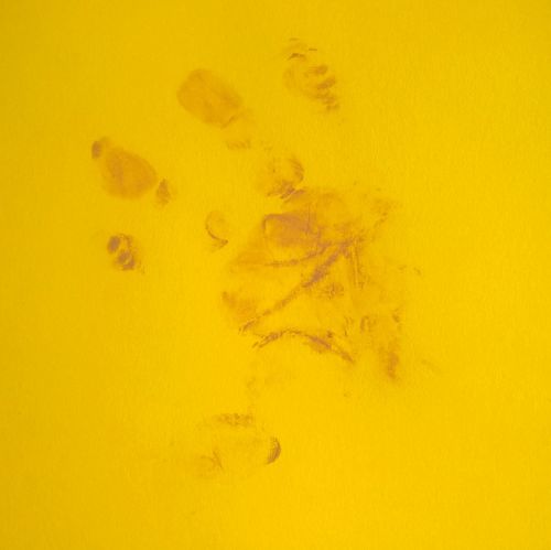 Archisio - Progettista Fg Architettura - Architetto - Salerno SA