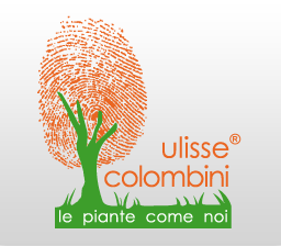 Archisio - Impresa Societ Agricola Colombini Ulisse srl - Manutenzione Verde - Maranello MO