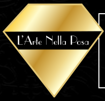 Archisio - Rivenditore Larte Nella Posa - Pavimenti e Rivestimenti - Rivoli TO