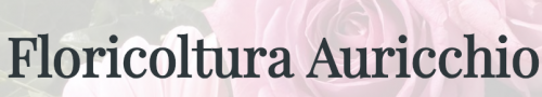 Archisio - Impresa Floricoltura Auricchio - Decorazioni piante e fiori - Terlizzi BA
