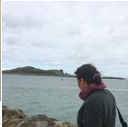 Archisio - Impresa Fanta Studio 2000 - Lavori artigianali - Roma RM