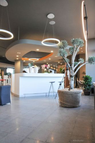 Archisio - Impresa Camaservice Srls - Cartongessista - Catania CT