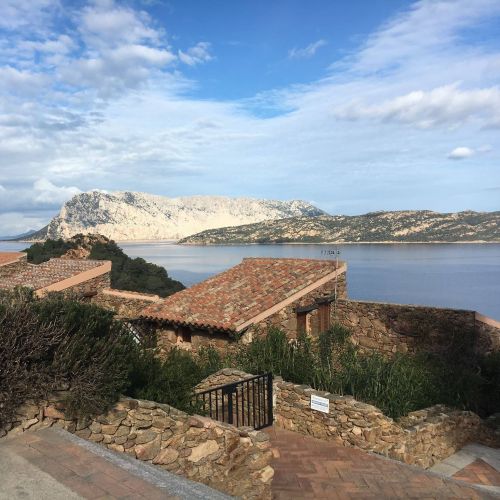 Archisio - Rivenditore Vanna Arredo Di Pilu Giovanna - Rivenditore Arredamento - Budoni OT