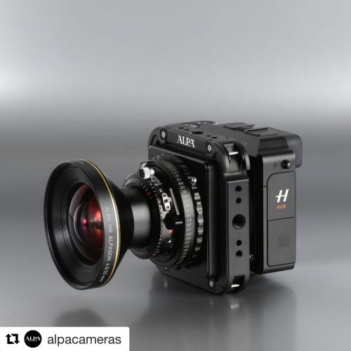 Archisio - Impresa Antonella Bozzini - Fotografi di Interni - Milano MI