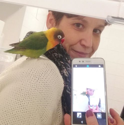 Archisio - Progettista Lisa Lorenzi - Architetto - Roma RM