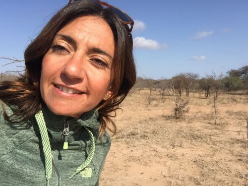 Archisio - Progettista Francesca Raffaini - Architetto - Parma PR