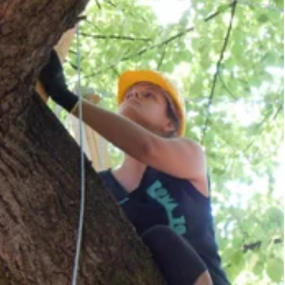 Archisio - Progettista Elisabetta Gaglio - Architetto - Roma RM