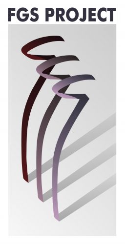 Archisio - Progettista Fgs Project Stp Sas - Geometra - Grosseto GR