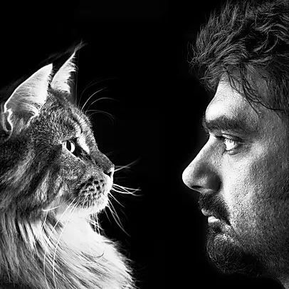 Archisio - Impresa Stefano Carniccio - Fotografi di Interni - Alba CN